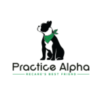 Practice Alpha