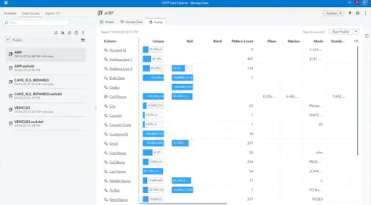 SAS Data Management Screenshot 1