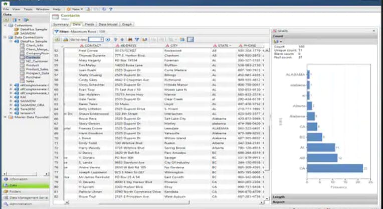 SAS Data Management Screenshot 2