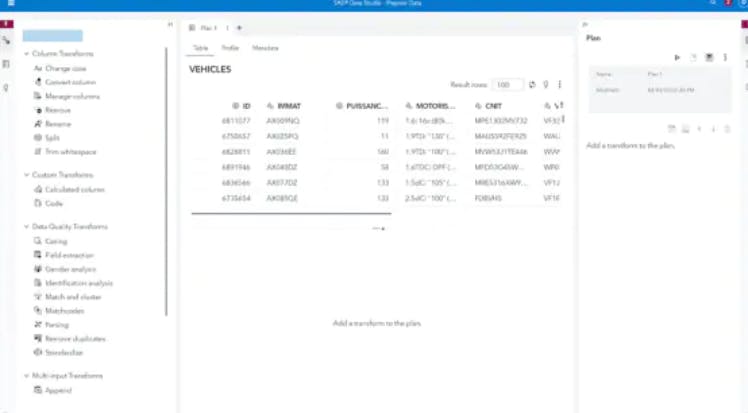 SAS Data Management Screenshot 3