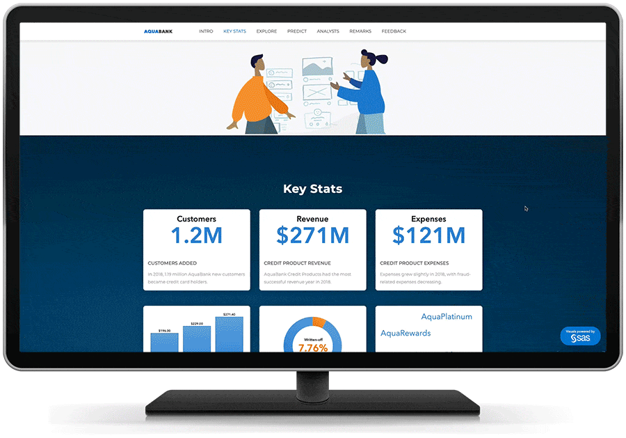 SAS Visual Analytics Screenshot 1