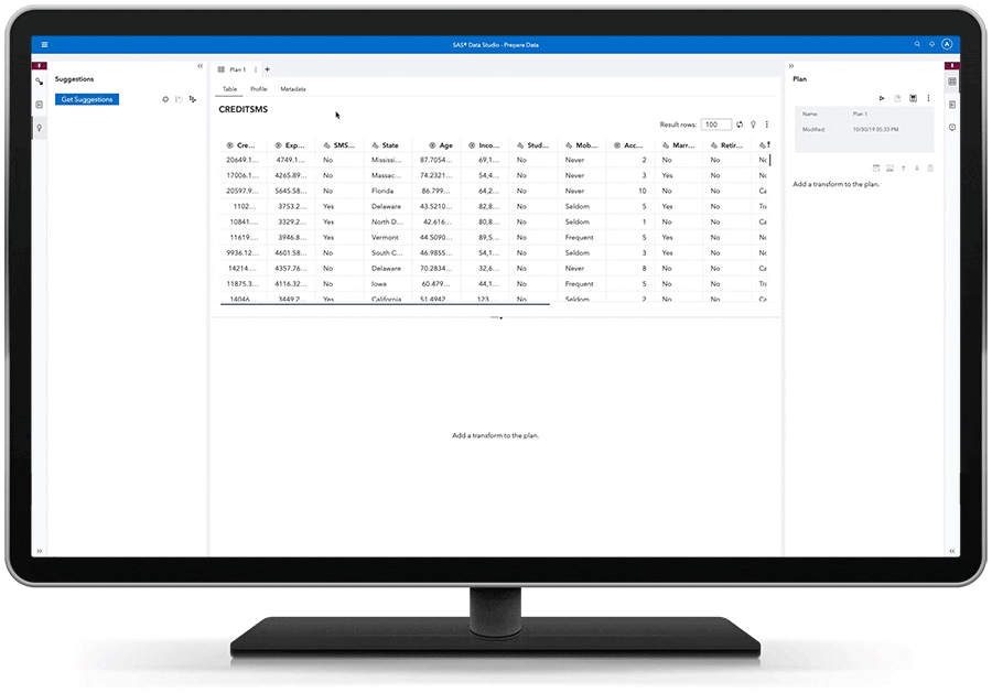 SAS Visual Analytics Screenshot 3