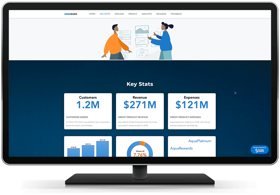 SAS Visual Analytics Screenshot 5