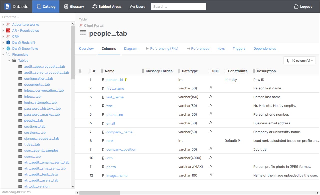 Dataedo Screenshot 1