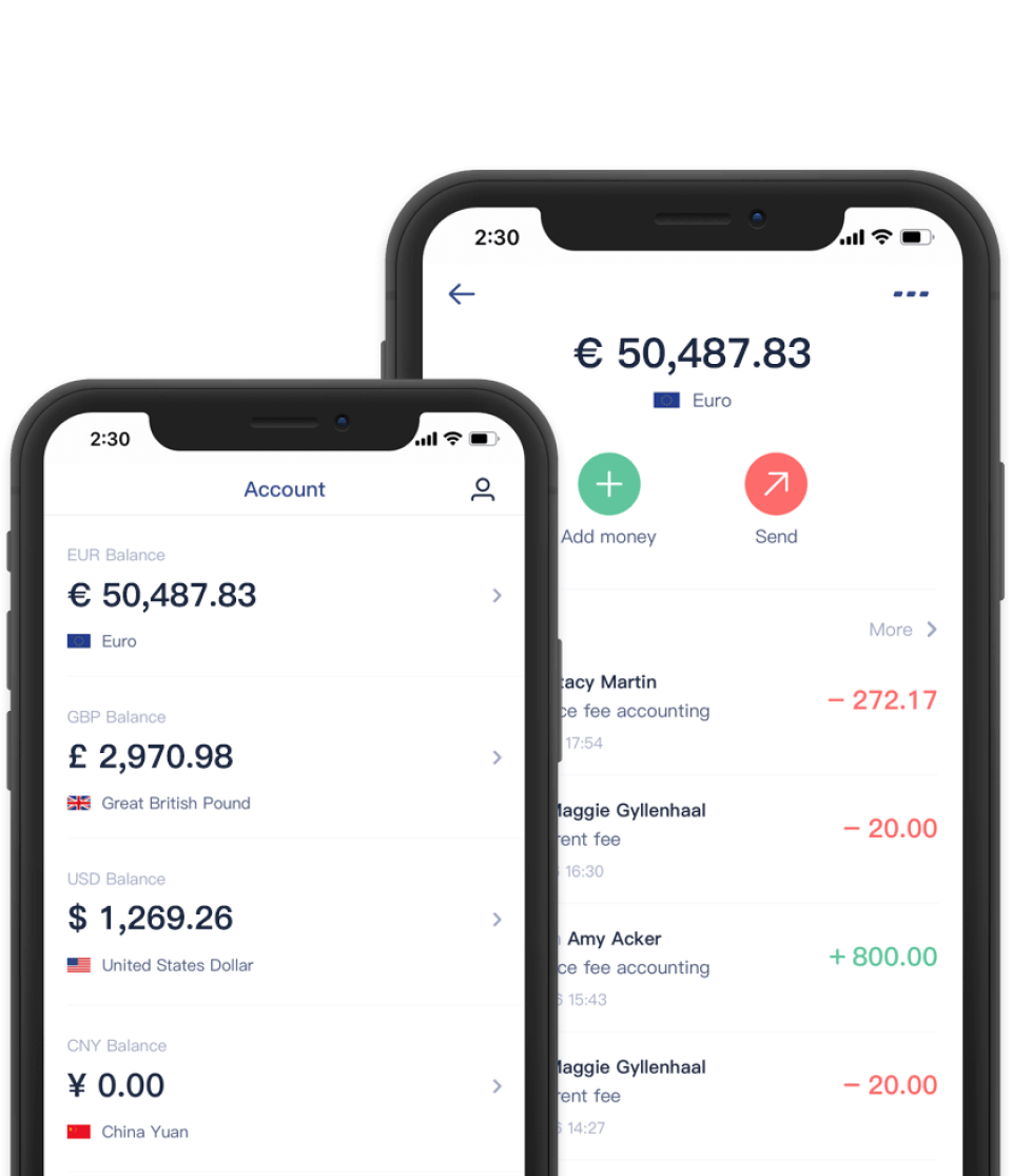 EasyEuro Screenshot 1