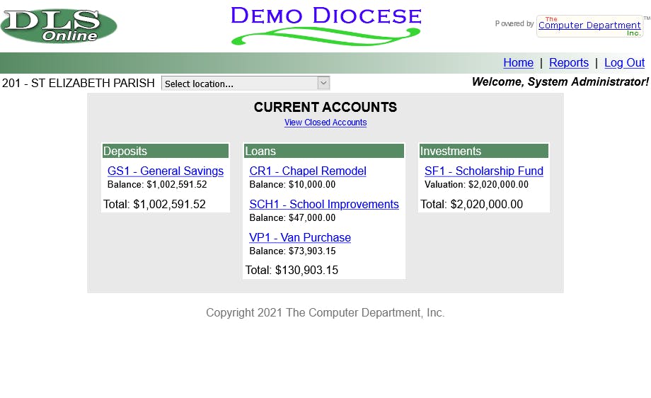 DLS Financials Screenshot 2