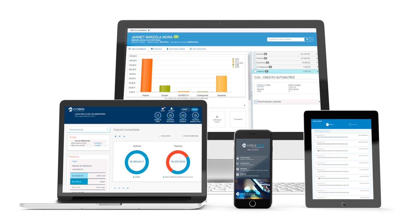 COBIS Core Screenshot 1
