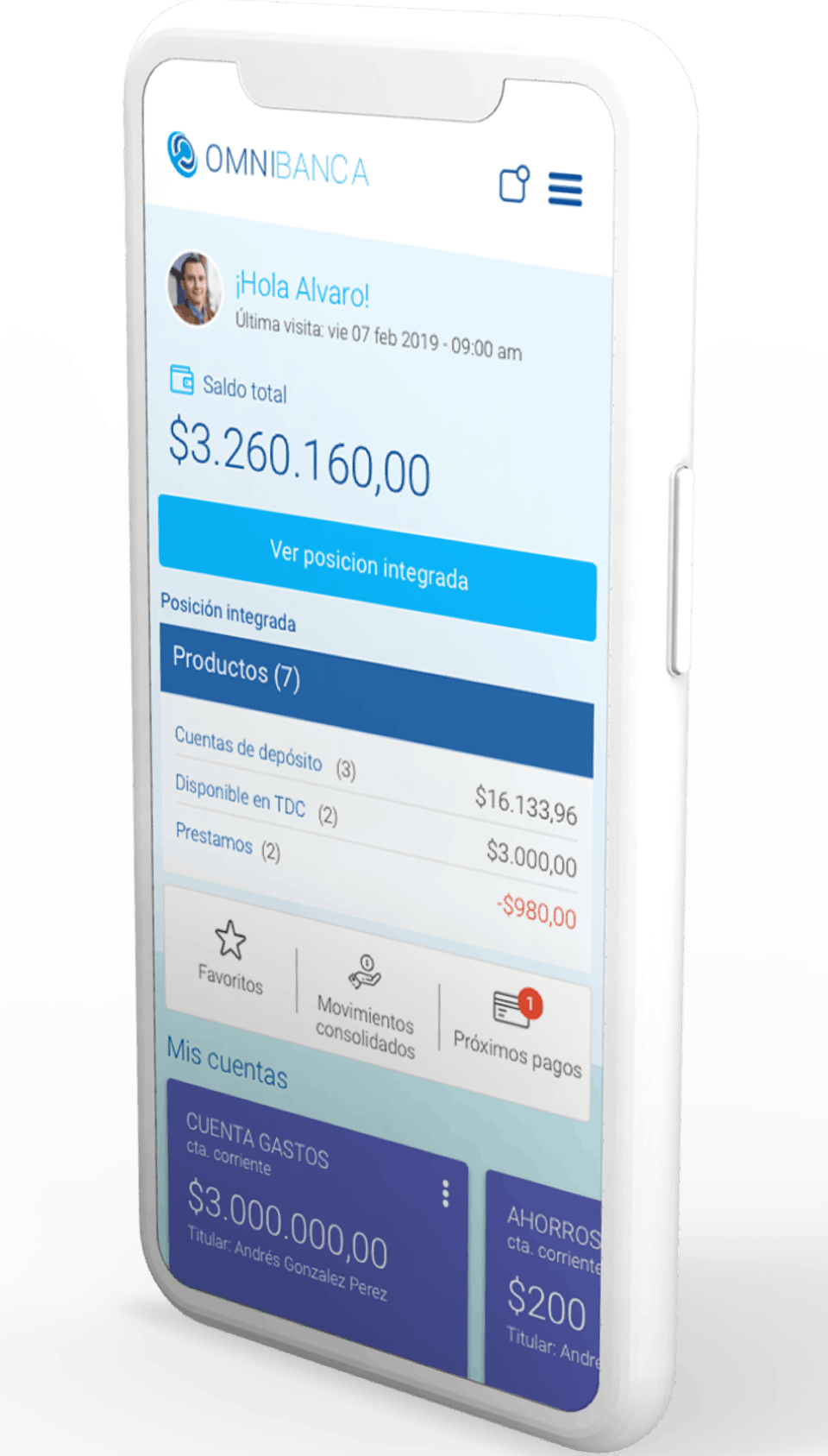 Omnibanca Screenshot 3