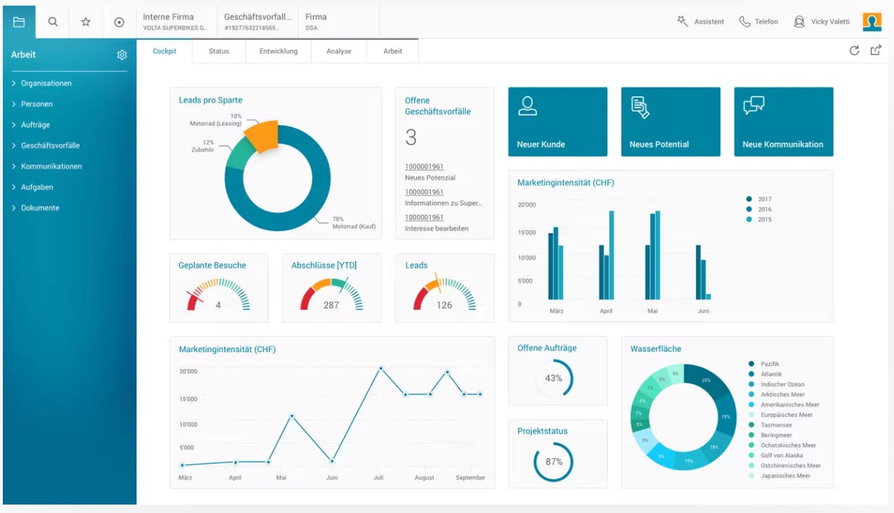 BSI Customer Suite Screenshot 2