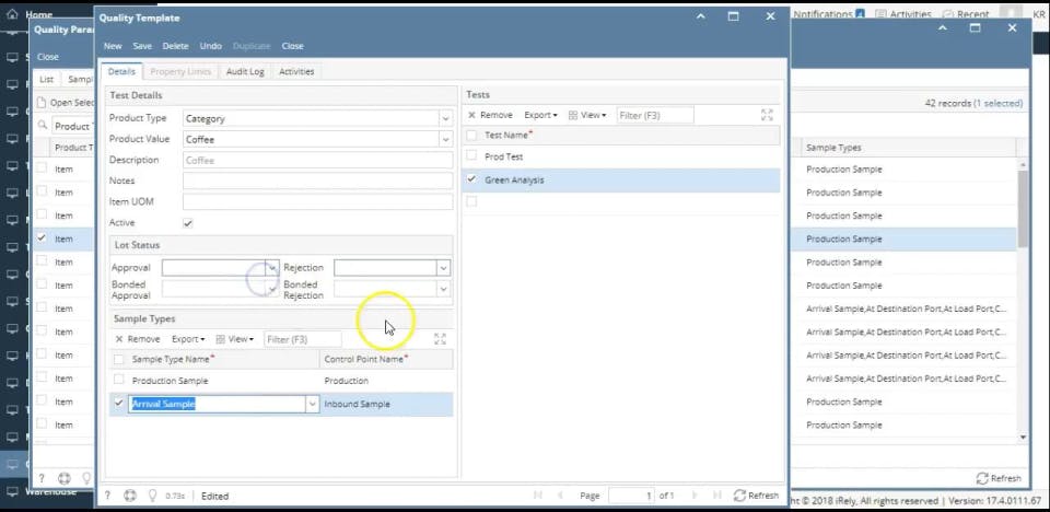 iRely i21 Screenshot 3