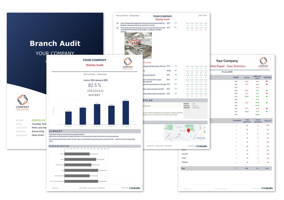 GoAudits Screenshot 3