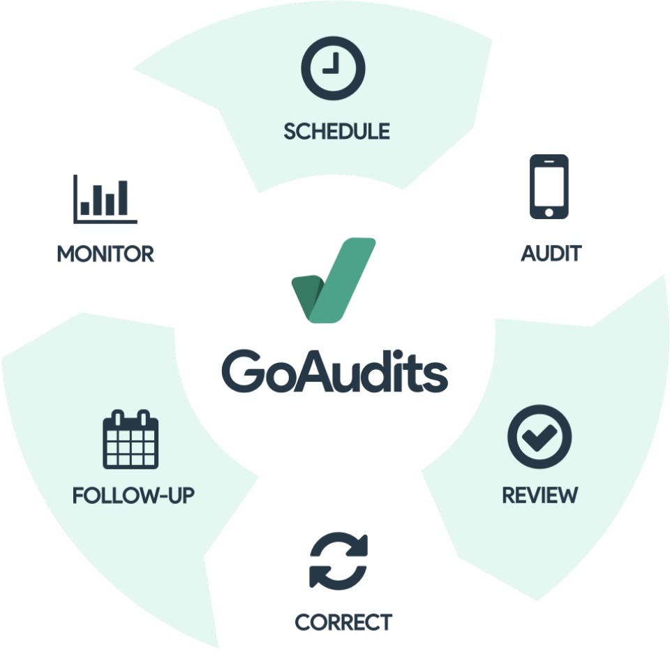 GoAudits Screenshot 4