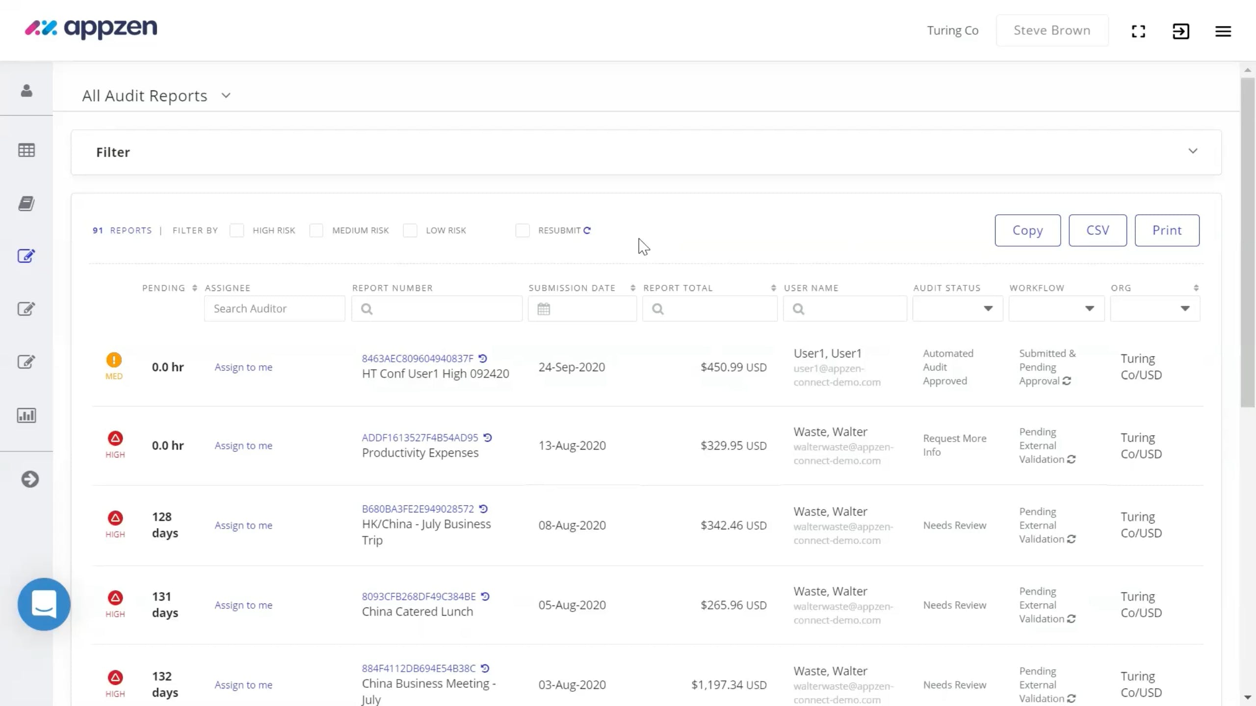 Expense Audit Screenshot 3