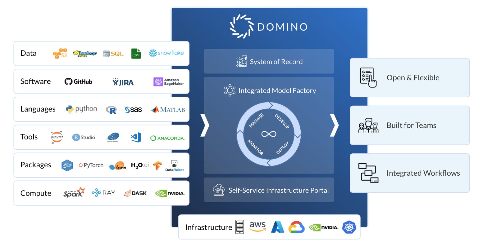Domino Enterprise MLOps Platform Screenshot 1