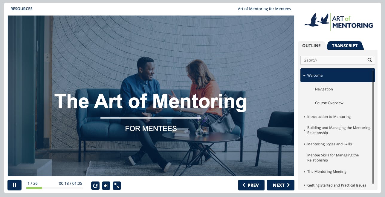 Art of Mentoring Screenshot 4