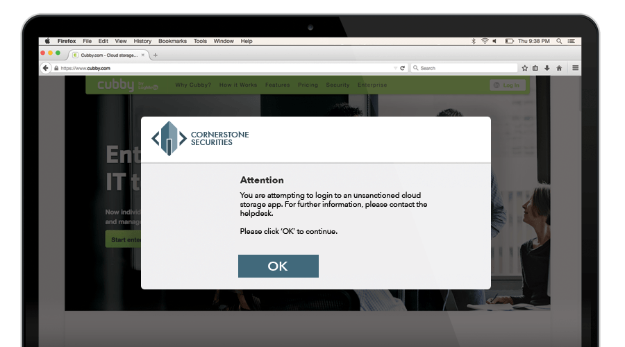 Netskope Active Platform Screenshot 5