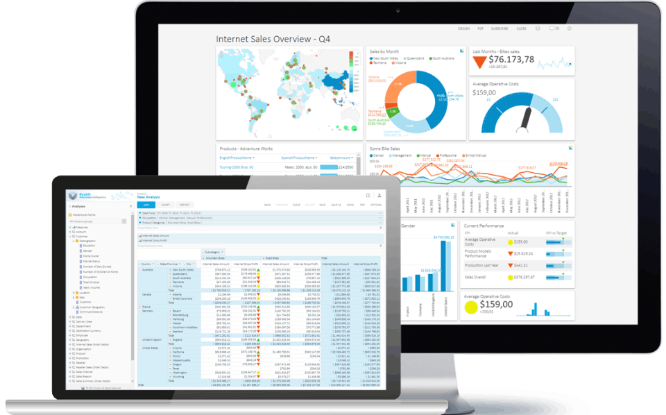 Kyubit Business Intelligence Screenshot 1