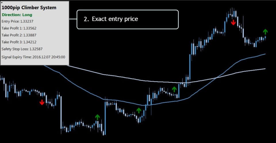 1000pip Climber System Screenshot 2