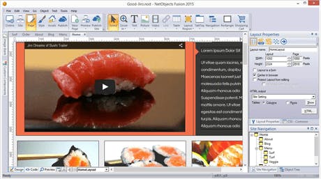 NetObjects Fusion Screenshot 3
