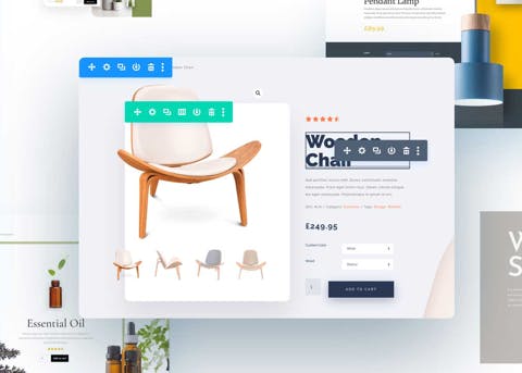 Divi Screenshot 2