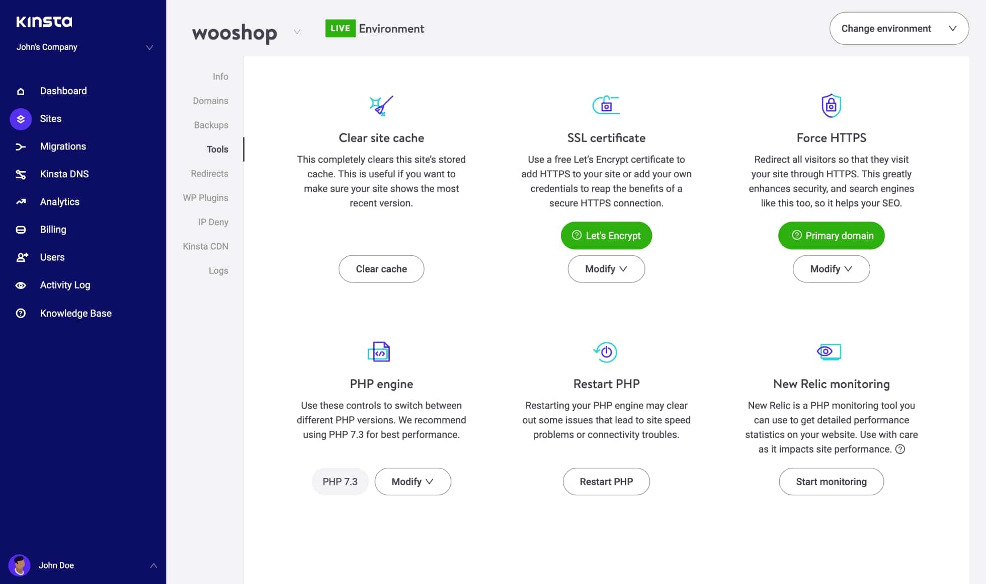 Kinsta Screenshot 2