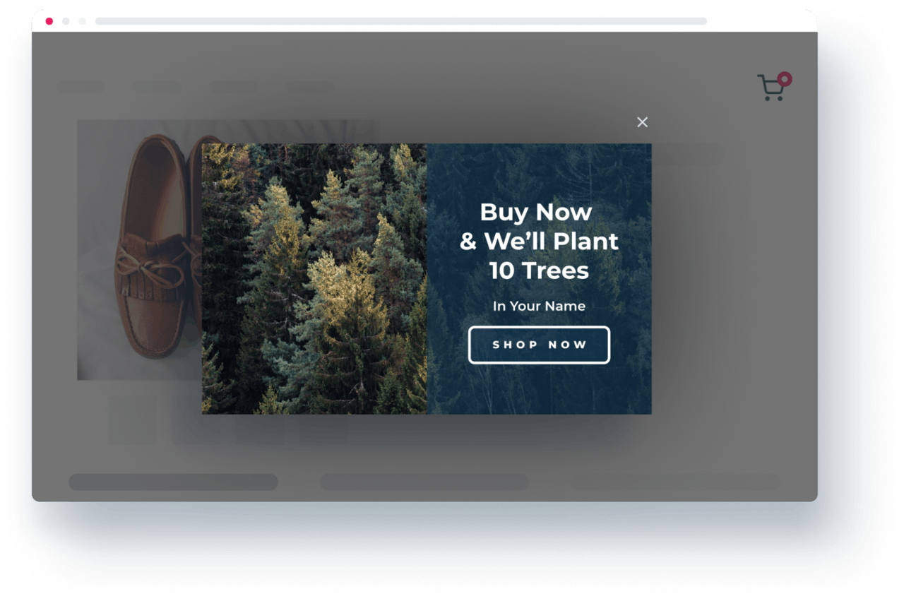 RevLifter Personalization Platform Screenshot 2