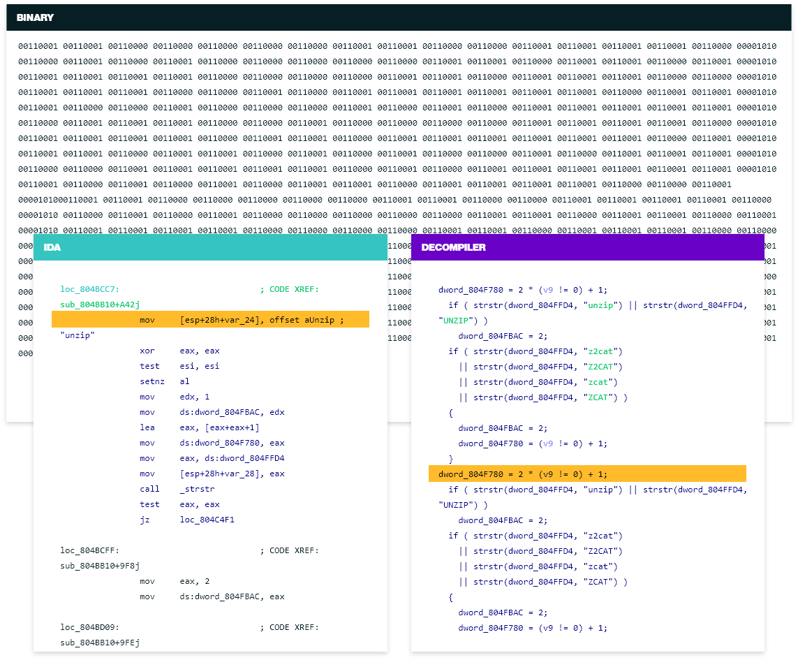 IDA Pro Screenshot 1