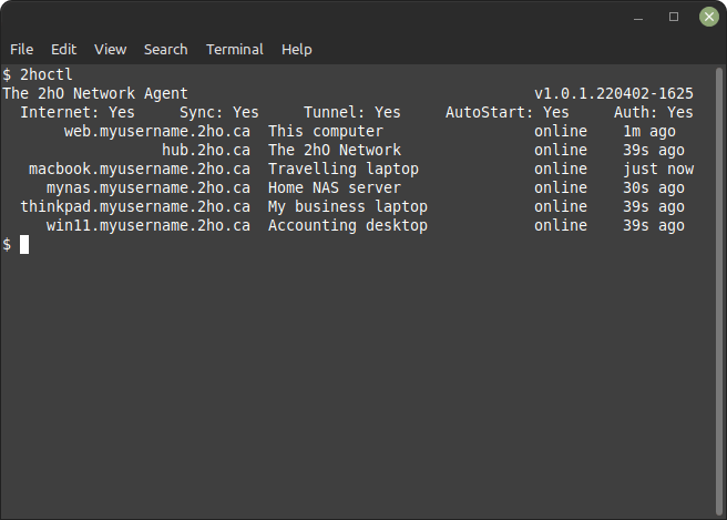 2hO Client Screenshot 4