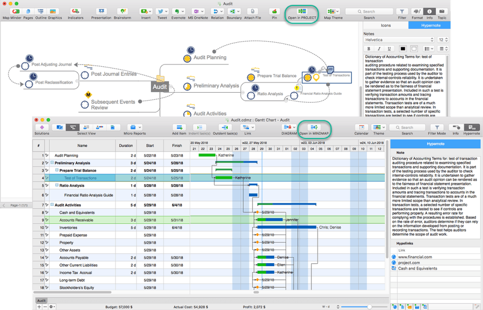 ConceptDraw MINDMAP Screenshot 5
