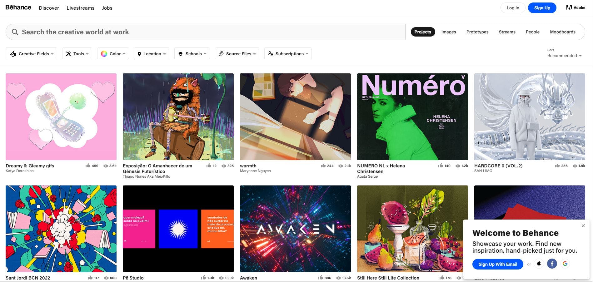 Behance Screenshot 1