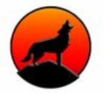 Coyote Analytics
