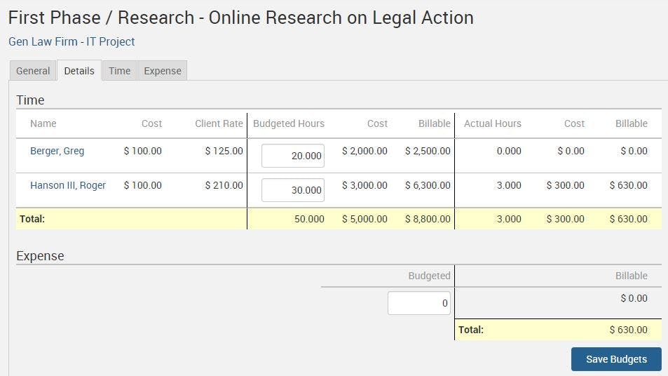 TimeSolv Legal Billing Screenshot 2