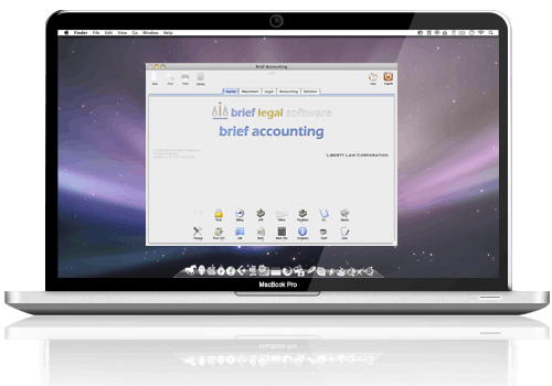Brief Accounting Screenshot 2