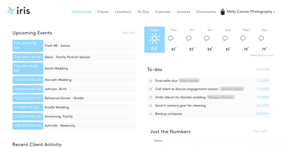 Iris Works Screenshot 1