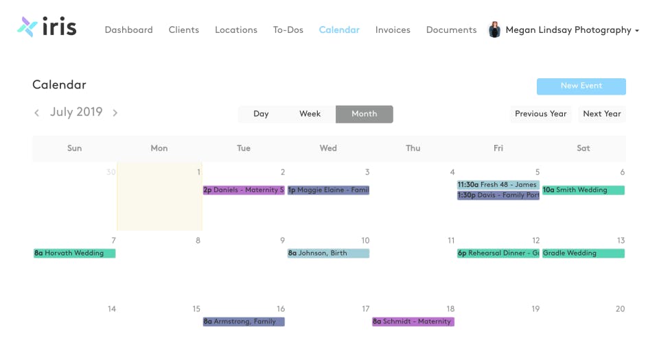 Iris Works Screenshot 4