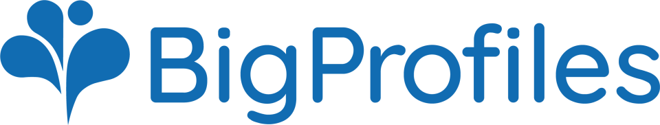 BigProfiles Screenshot 1