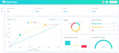 BigProfiles Screenshot 2