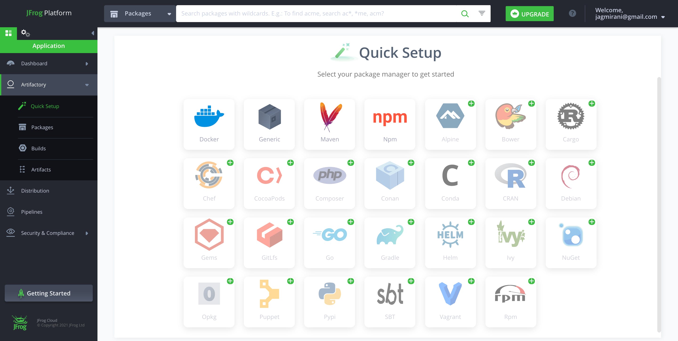 Artifactory Screenshot 1