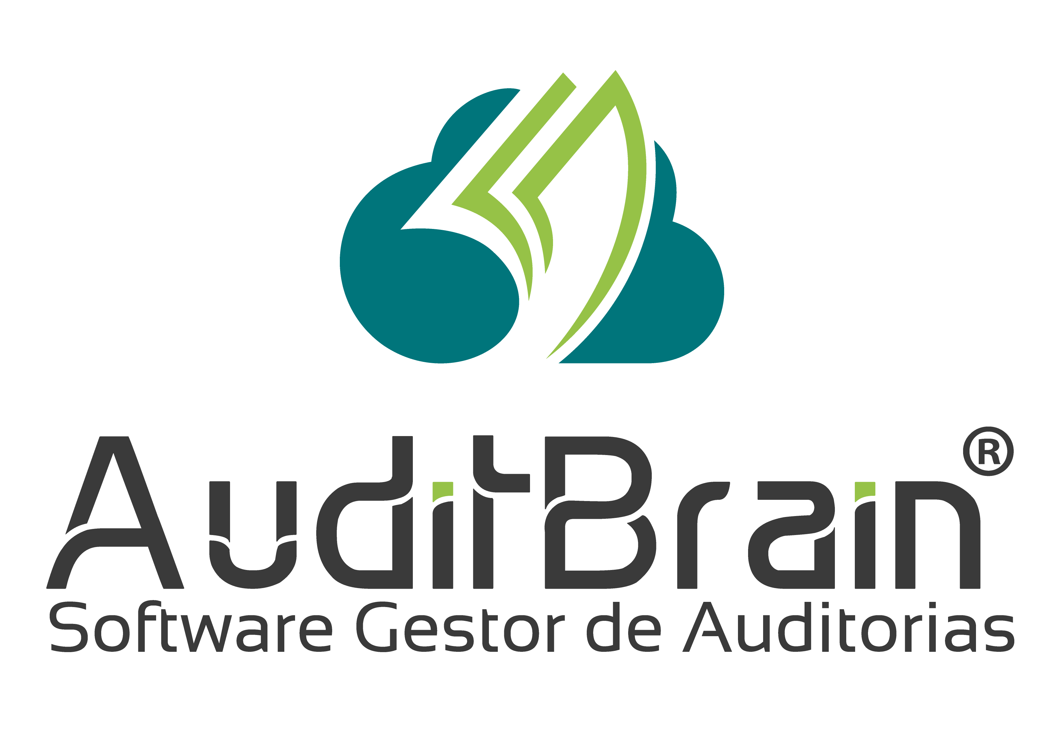 AuditBrain External