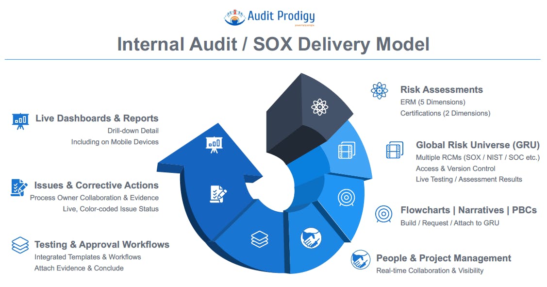 Audit Prodigy Screenshot 2