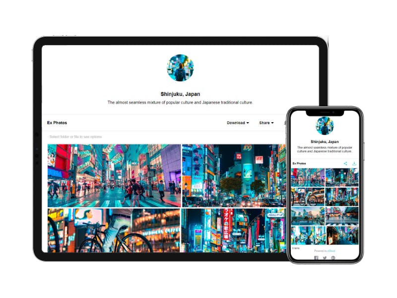 pCloud Business Screenshot 5