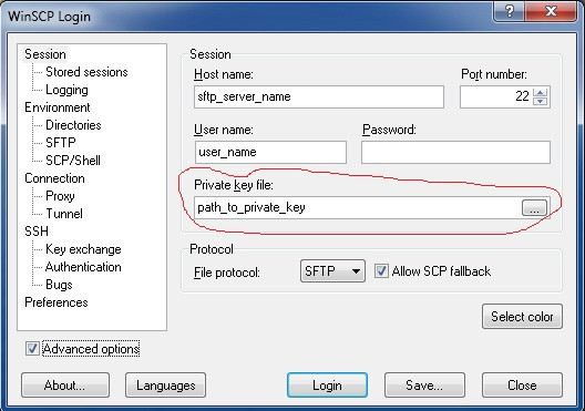 WinSCP Screenshot 2