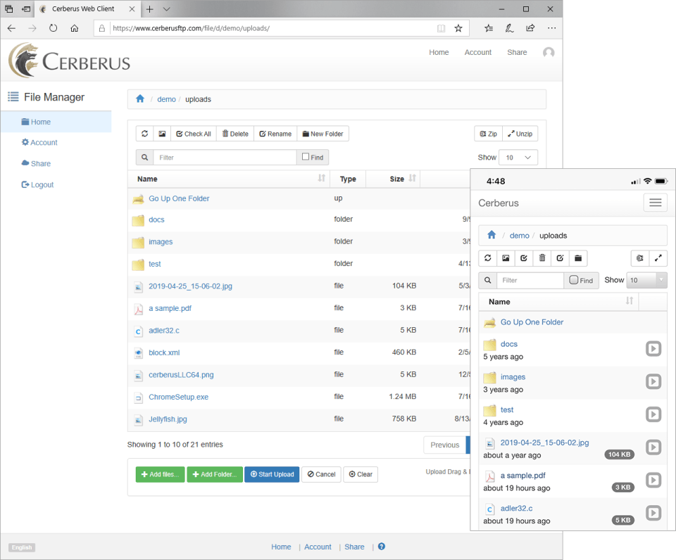 Cerberus FTP Server Screenshot 2