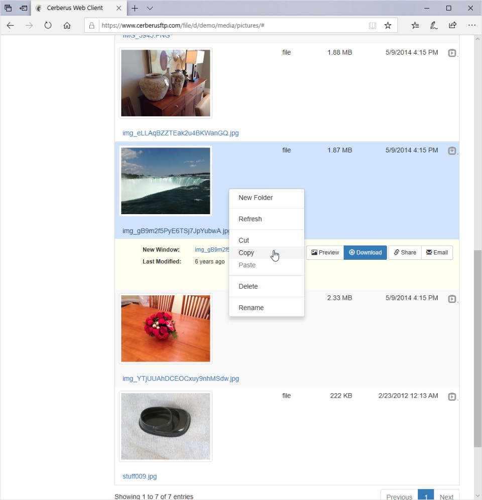 Cerberus FTP Server Screenshot 4