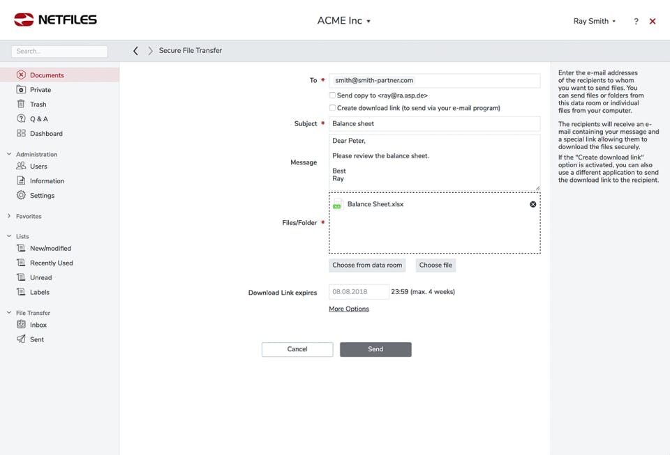 Netfiles Professional Screenshot 1