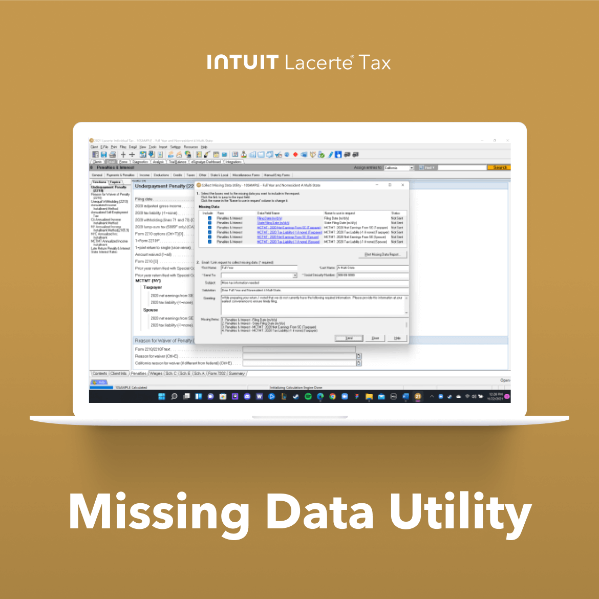 Lacerte Tax Screenshot 1