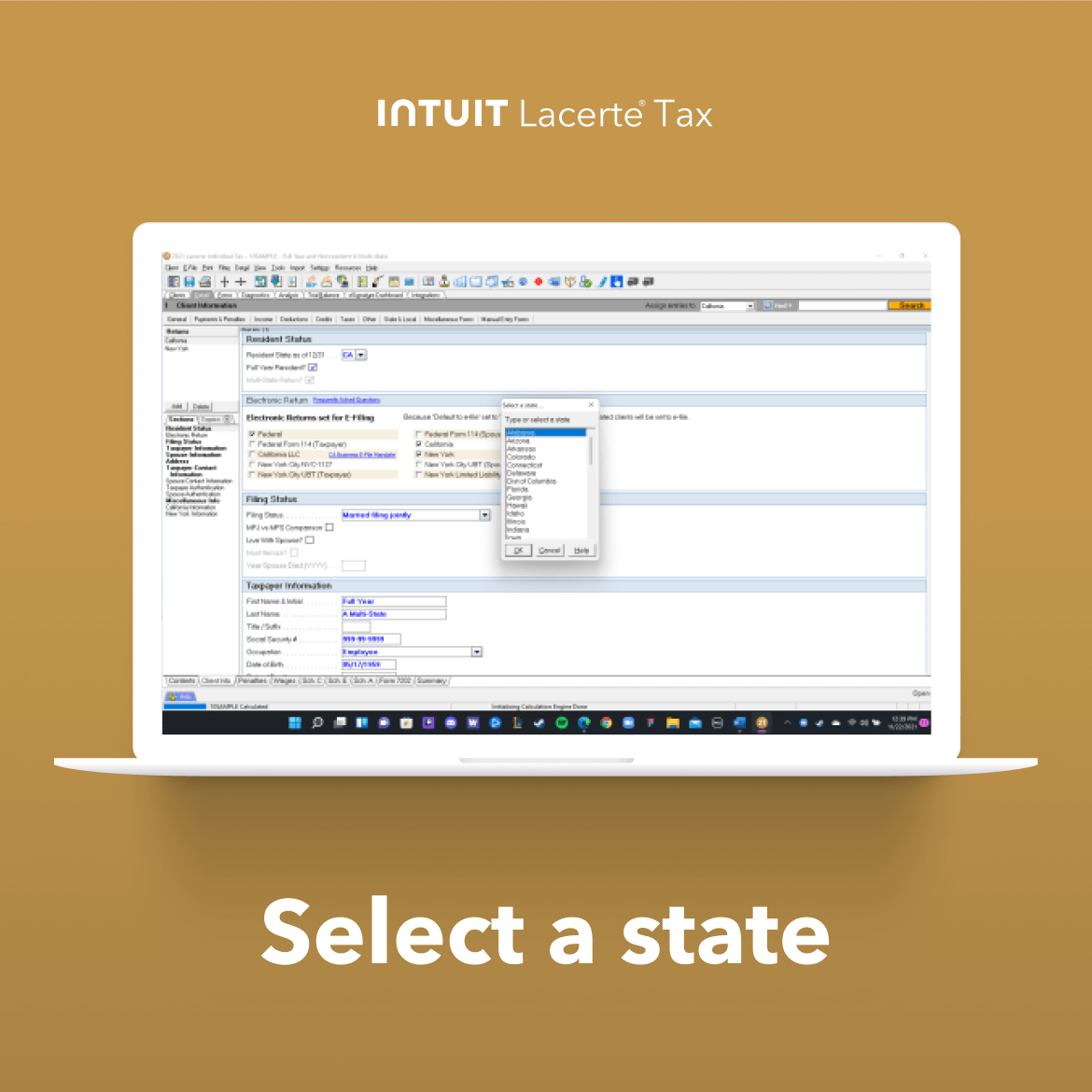 Lacerte Tax Screenshot 2