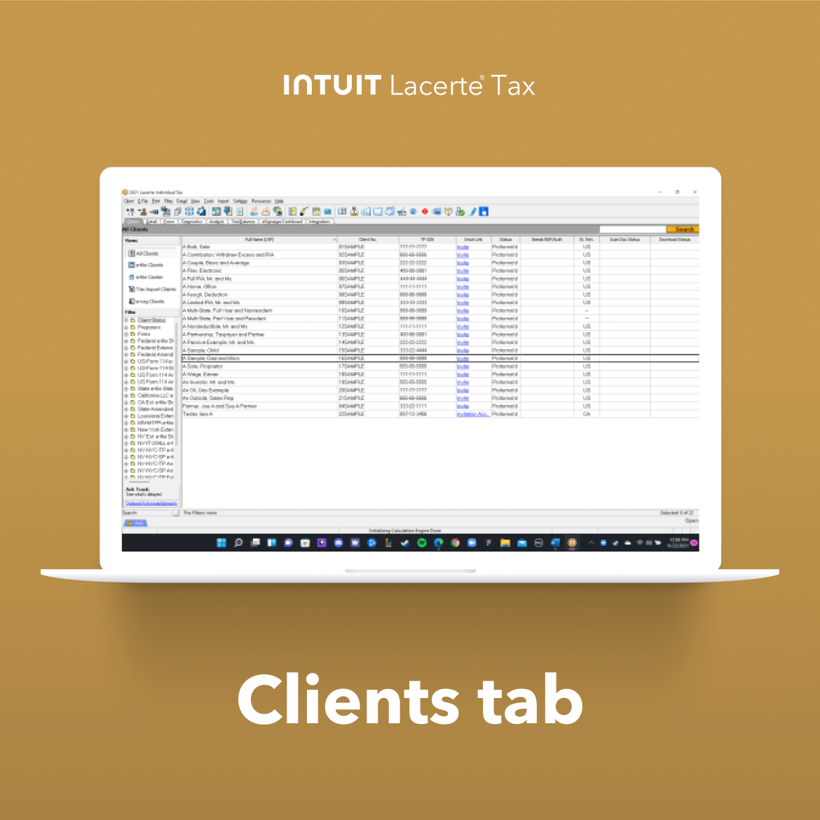 Lacerte Tax Screenshot 3