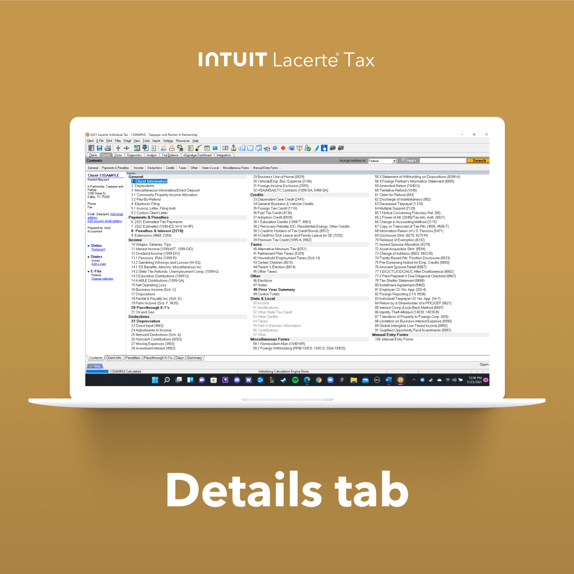 Lacerte Tax Screenshot 4
