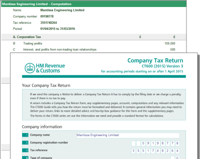 Taxfiler  Screenshot 2